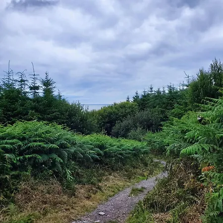 The Little Island Rosscarbery