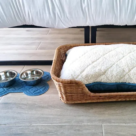 The Little Island Boutique Hotel *